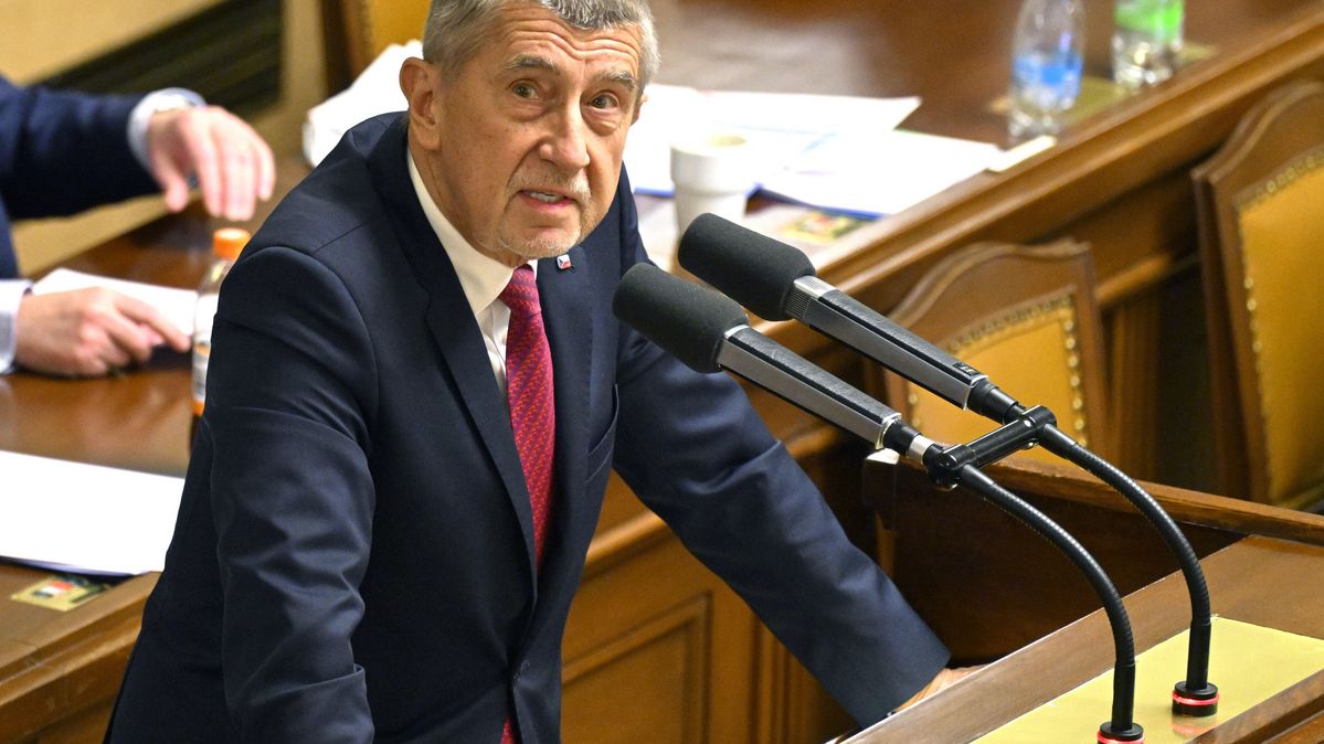 Der tschechische Ministerpräsident spricht im Unterhaus des Parlaments