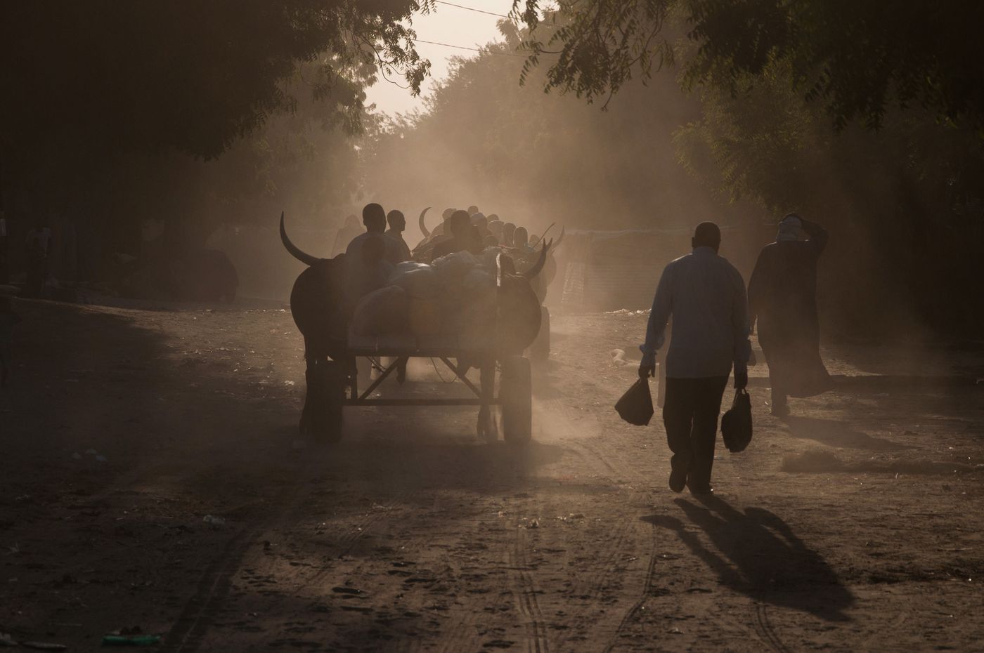 2018 : Une rue du marché à Diffa, au Niger.