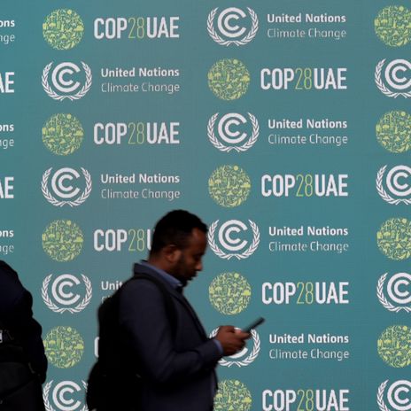 Participants in front of the official United Arab Emirates COP28 stand during the Climate Change Conference in Bonn, Germany, 06 June 2023