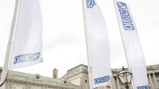 Flaggen mit dem Schriftzug OSZE vor einem Gebäude