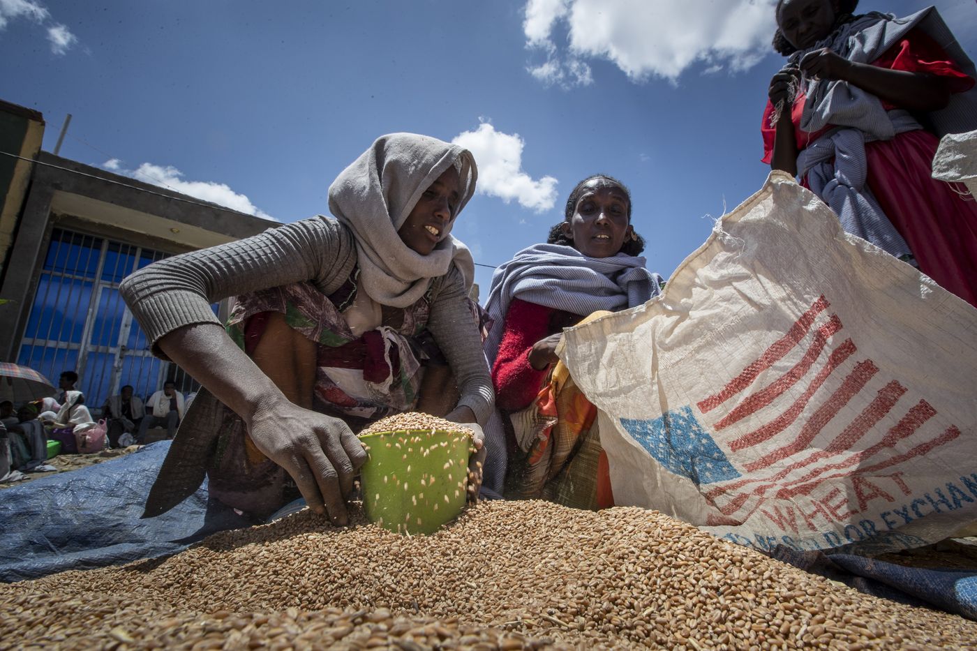 Distribution of wheat in Ethiopia's Tigray region in May, 2021. 